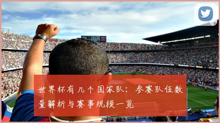 世界杯有几个国家队：参赛队伍数量解析与赛事规模一览