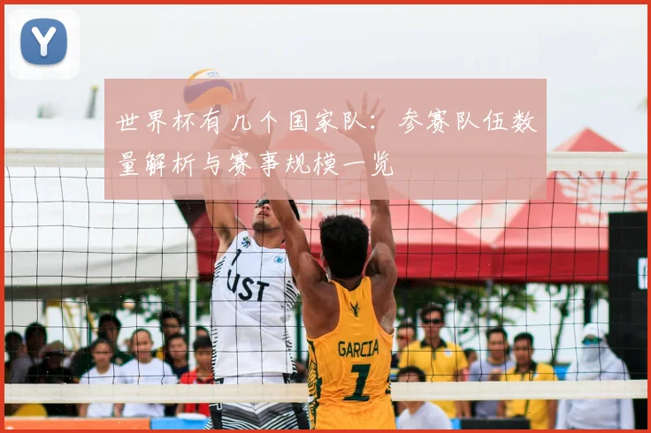 世界杯有几个国家队：参赛队伍数量解析与赛事规模一览