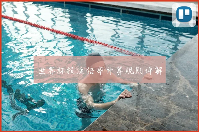 世界杯投注倍率计算规则详解