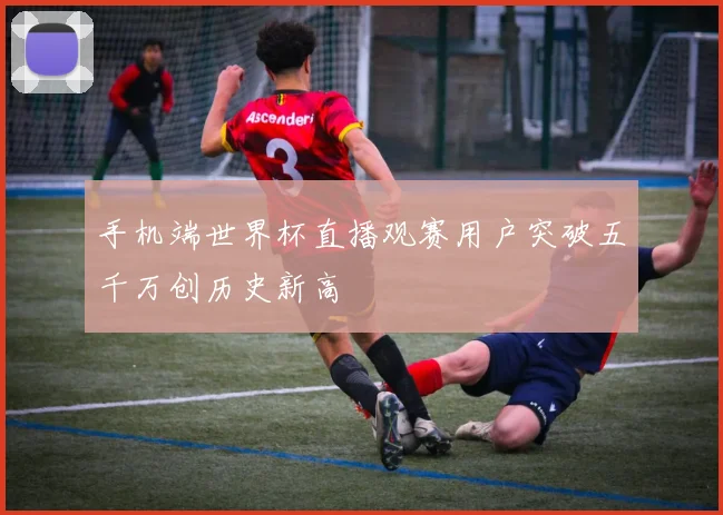 手机端世界杯直播观赛用户突破五千万创历史新高