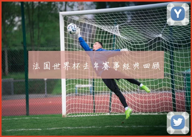 法国世界杯去年赛事经典回顾