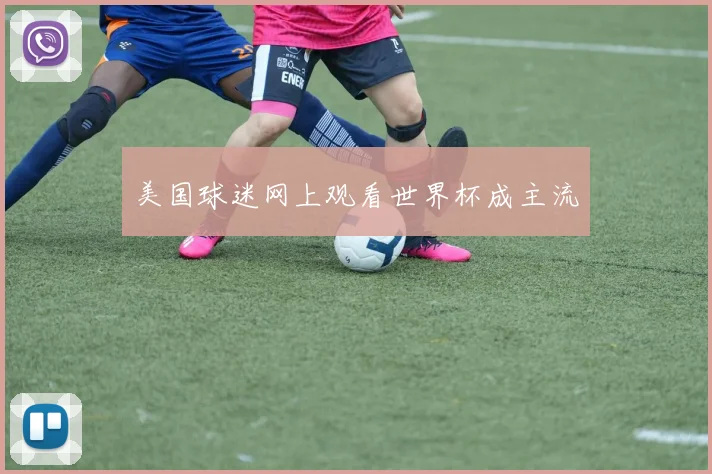 美国球迷网上观看世界杯成主流