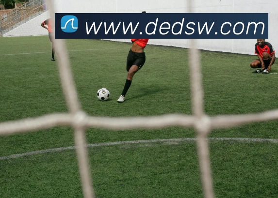 多媒体互动体验